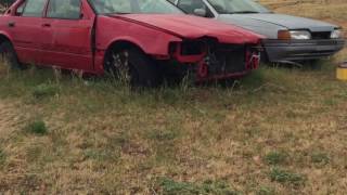 Mint Skids: a Paddock Thrashers production