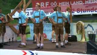 Almfest Auf Der Wurzeralm 2013