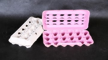 2500 Pcs/h Paper Egg Tray Making Machine | Egg Tray Manufacturing Line