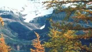 Üğrünü Üğrünü Gelir Sivas Türküleri Mehmet Diker