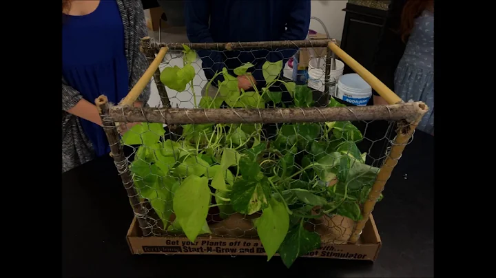 Project GREEN Creation Capstone Video