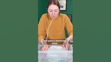 Test Your Lung Capacity: DIY Experiment