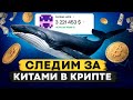 КИТЫ В КРИПТОВАЛЮТЕ, КАК СЛЕДИТЬ ЗА НИМИ? ПОЧЕМУ У УМНЫХ КИТОВ МАЛО МОНЕТ В ПОРТФЕЛЕ?