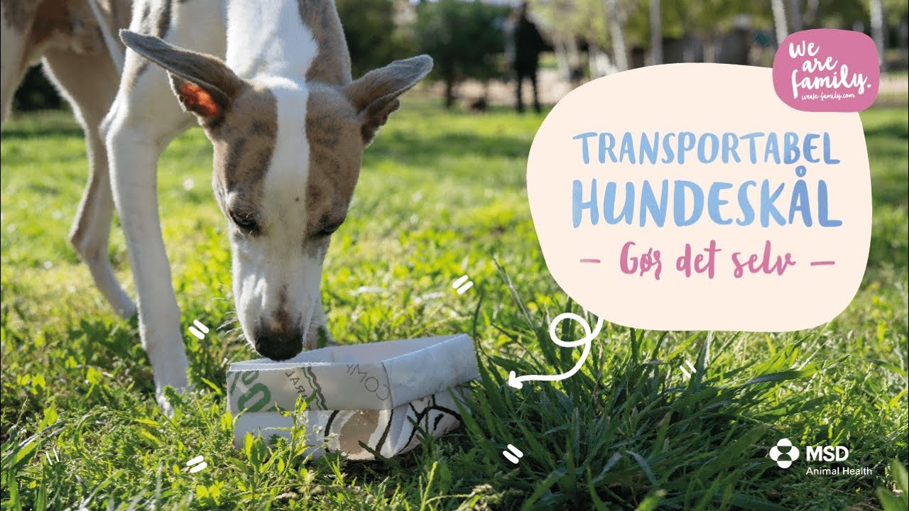 GØR-DET-SELV – TRANSPORTABEL HUNDESKÅL