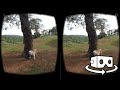 Perros en realidad virtual | Episodio #9