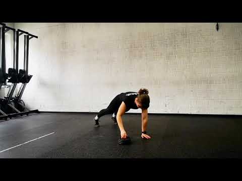 Push Up Plank With Plate Stack