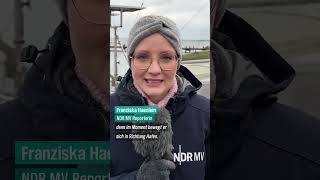 🐋🌊 Rettungs-Drama in der #Ostsee: Schafft Buckelwal #timmy den Durchbruch? #ndrinfo #news #hope