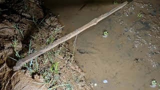 Balik ke Spot Angker Lama, Langsung Di Sambut Belut Babon Super