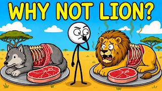 Why Humans Domesticated Wolves But Not Lions