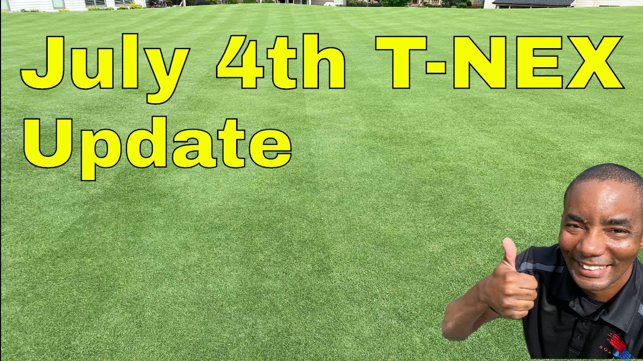 July 4th T-NEX Blend Update [GOLF COURSE LAWN] | Bermuda Grass - YouTube