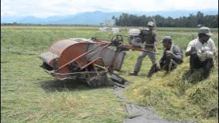 Mesin Pemanen Padi Lacandu
