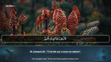 Sourate Yusuf - Abdel Rahman Al Dalali سورة يوسف عبدالرحمن الدلالي