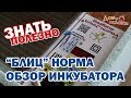 Блиц Норма обзор инкубатора