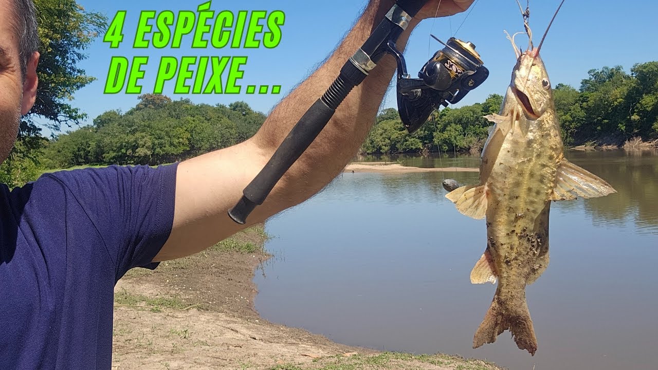 Pescamos TRAÍRA, JUNDIA e MANDI em um ACAMPAMENTO com CHURRASCO!