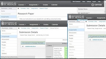 Peer Reviews Workflow for Faculty (Canvas LMS)