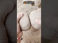#asmr #oddlysatisfying #satisfying #arercrumbling #shortvideos #shotrs