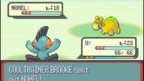 Pokémon Ruby Improved Speed Run Segment 14