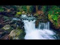 Relaxing Music With Nature Sounds مناظر الطبيعة الخلابة مع موسيقى هادئة للتامل والاسترخاء 