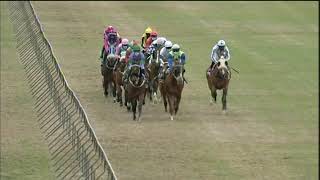 Vidéo de la course PMU PRIX HOLLYWOODBETS BRIGHT FUTURE MAIDEN PLATE