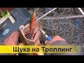 Удачная ловля щуки троллингом на воблер с лодки р. Десна