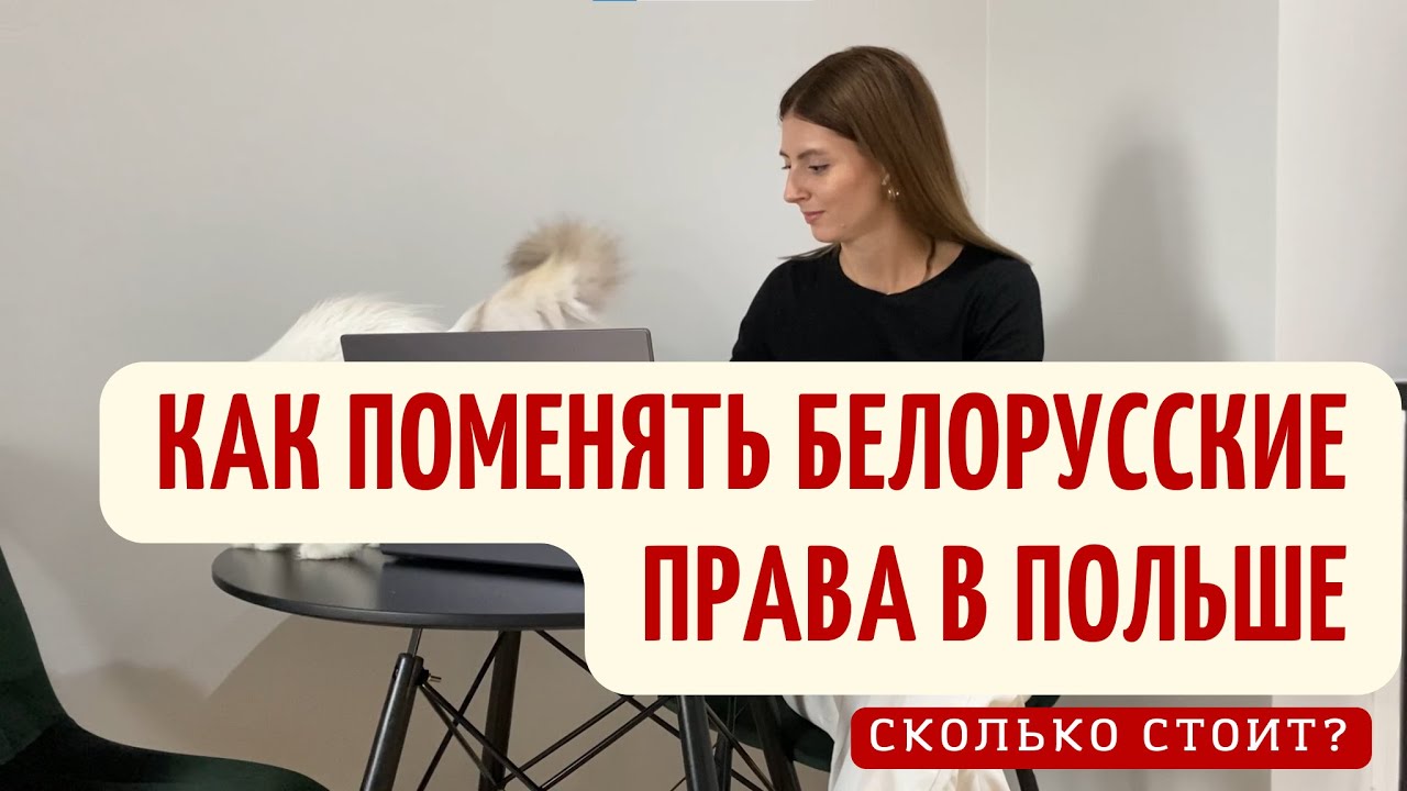 Как поменять белорусские водительские права в Польше. Сколько стоит ...