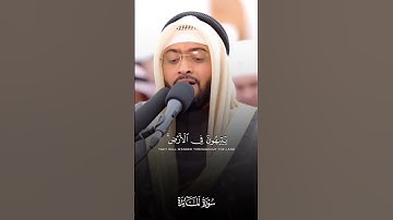ما تيسر من سورة المائدة|القارئ الشيخ أحمد عبدالعزيز النفيس #القرآن_الكريم #احمد_النفيس #سورة_المائدة