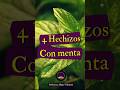 Wicca - 4 hechizos con menta #brujaprincipiante #brujitips #wicca