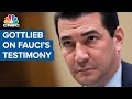 Former FDA chief Dr. Scott Gottlieb on Dr. Anthony Fauci's congressional testimony