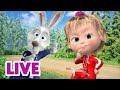 🔴 LIVE STREAM 🎬 Masha and the Bear 😀 Fun fact 💡✌️