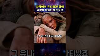 유니콘과 함께하는 사막투어