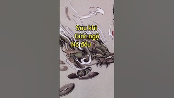 Ý Nghĩa Thiềm Thừ trong phong thuỷ bạn nên biết?