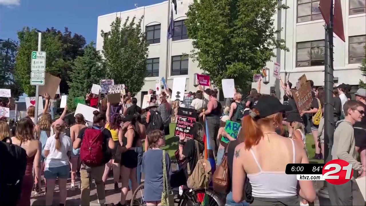 Hundreds gather at Harmon Park for the 'March for Our Rights'