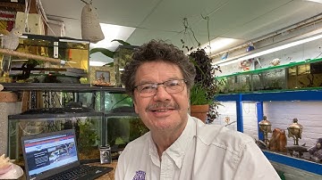 Rick Crosslin Science - Indoor Model Airplanes