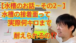 【水槽編②】水槽のシリコン部分の仕上げと強度について