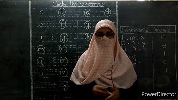 Class Prep - II - 15th Working - Assignments for Copy # 03 - HSS