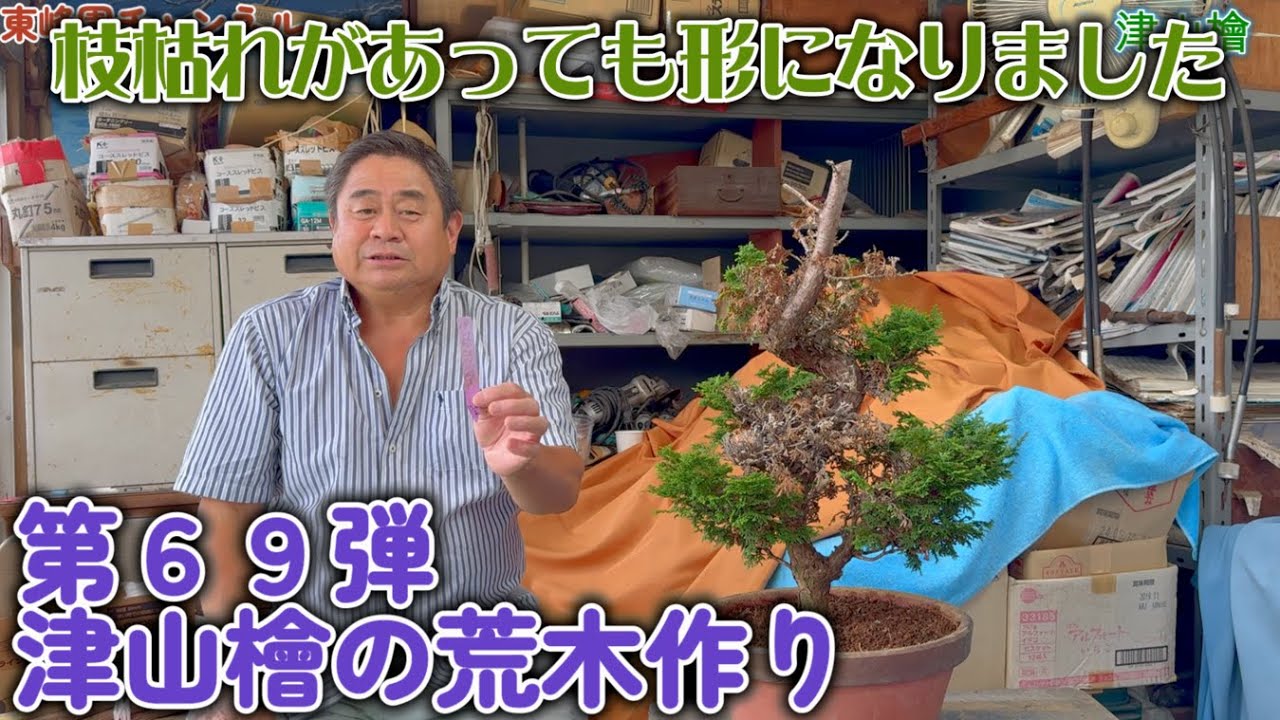 Bonsai] Part 69: Making a rough tree from Tsuyama Hinoki [Even
