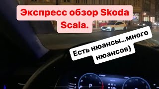 Экспресс обзор новой Skoda Scala. Есть нюансы…их много)