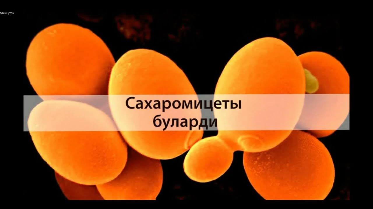 Механизмы действия сахаромицетов буларди - YouTube