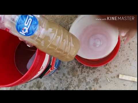 فيديو: الإسهال الطفيلي (الجيارديات) في Ferrets