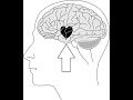 ¿Como desenamorarse de cualquier persona? La ciencia del desamor comprobada