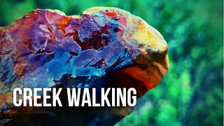 Rock Hunting & Creek Walking (Where I Became a Rockhound)
