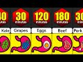 How Long Foods Stay In Your Stomach | How Long Different Foods Take to Digest | Foods Comparison