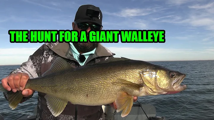 Searching for a Giant Walleye on Tobin Lake!!