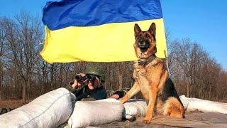 Срочное обращение.Новости Украины сегодня Мариуполь,Киев,Харьков,Одесса,Днепр,Сумы,Охтырка,Николаев.
