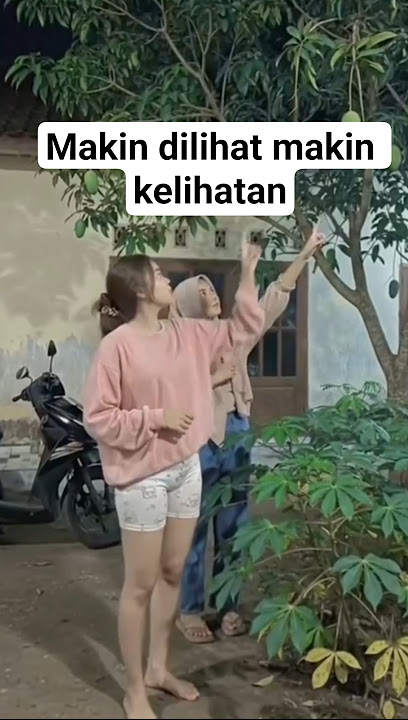 pemandangan yang indah