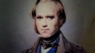 Phóng Sự: Charles Darwin - Nhà Nghiên Cứu Thuyết Tiến Hóa Của Nhân Loại