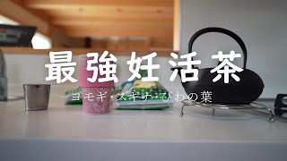 【妊活vlog】妊活最強茶！！よもぎ・スギナ・びわの葉茶♪