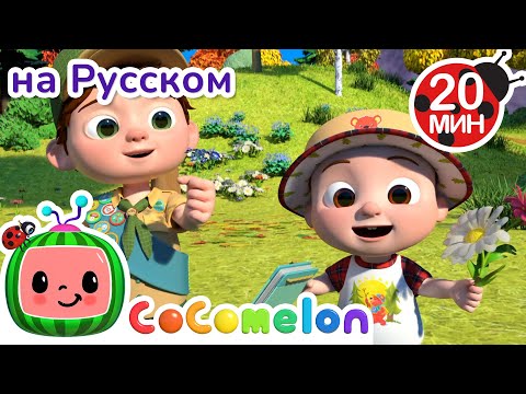 В путь с Джей-Джеем и Бинго — узнаём природу! 🌿🐾| CoComelon на русском — Детские песенки