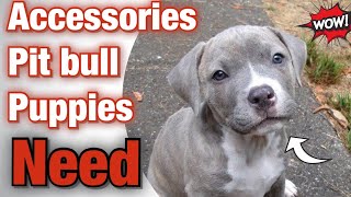 Accessories Pit bull Puppies NEED! (18 Must have's) screenshot 2
