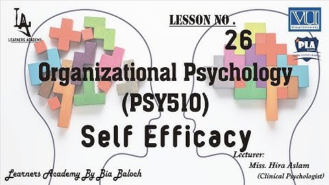 Organizational Psychology (PSY510) VU Urdu/Hindi | Lecture No.26 | PLA By Bia Baloch